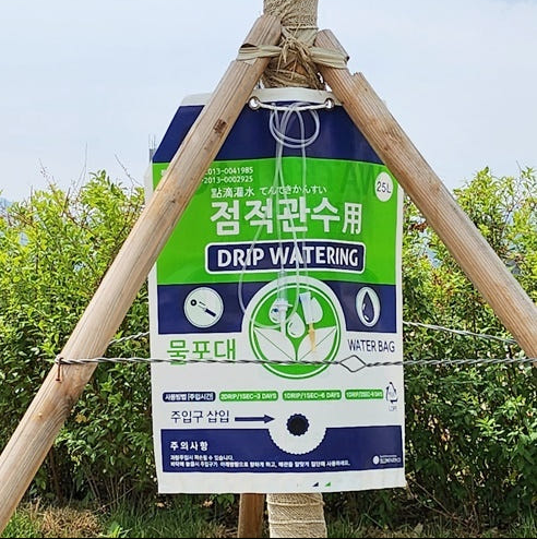 수목물주머니